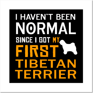 Tibetan Terrier Posters and Art